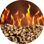 Pellets Icon